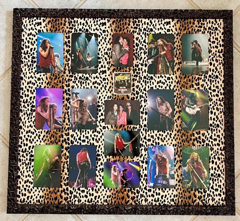 Framed Aerosmith concert photo collage with leopard print mat